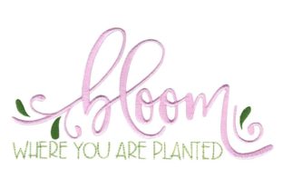 Bloom Where You Are Planted: A Designer’s Seasonal Review