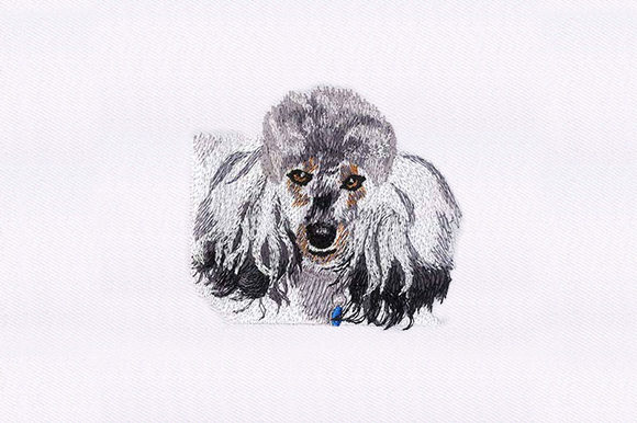 Embroidering Success: The Poodle Face Design Review