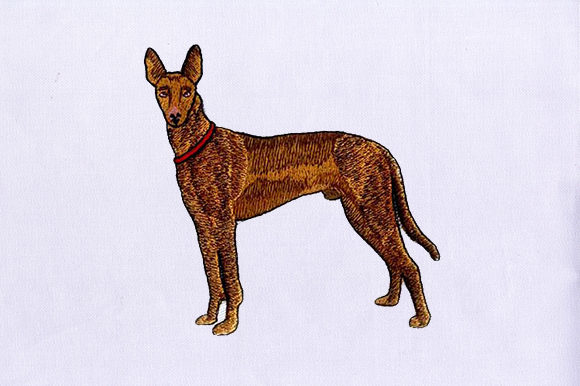 The Brown Greyhound: An Elegant, Premium Embroidery Design
