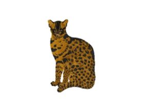 The Fishing Cat Embroidery Design: A Hands-On Review for Crafters